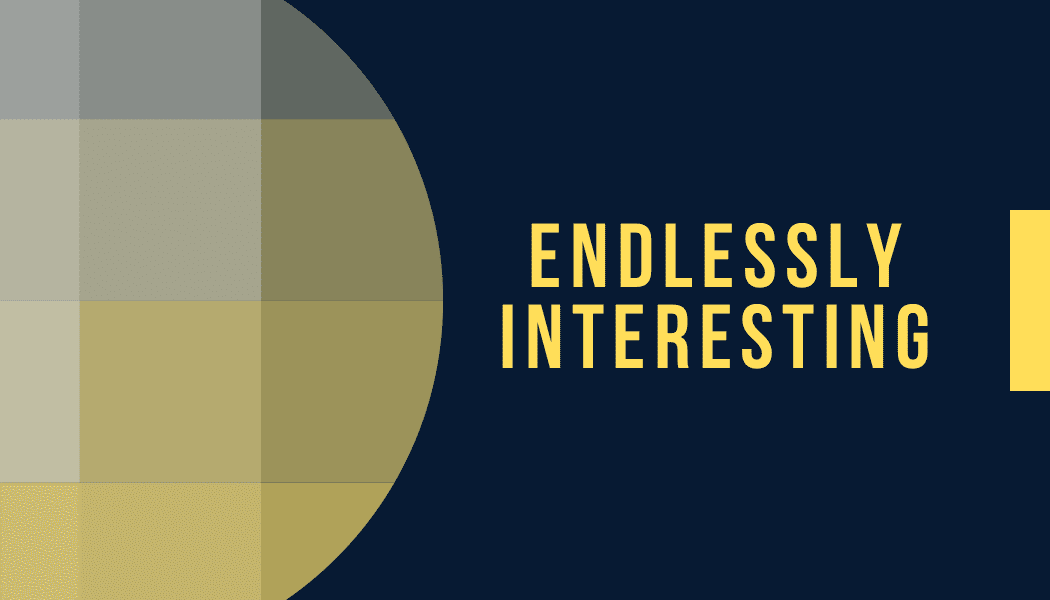 Endlessly Interesting