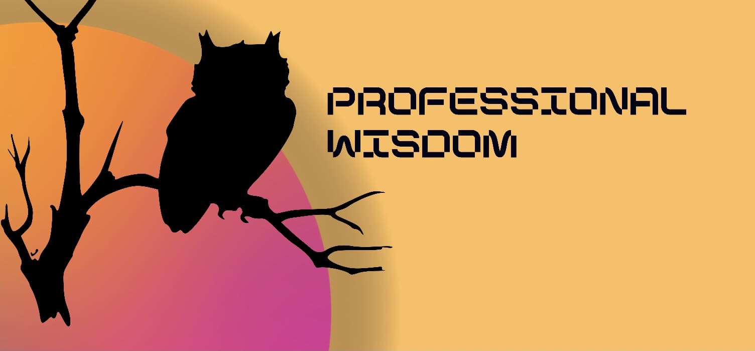 Professional Wisdom