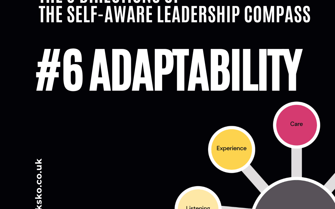 Self-Aware Leadership Compass Dr Nia D Thomas Adaptability