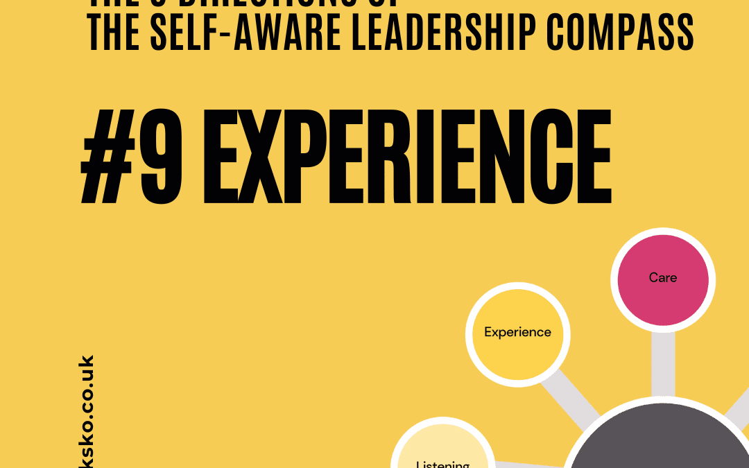 Self-Aware Leadership Compass Dr Nia D Thomas EXPERIENCE